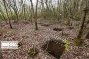 ۹ حفار غیرمجاز در منطقه سورت ساری دستگیر شدند