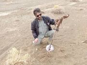 آغاز جمع‌آوری تله‌های غیرمجاز و پایش پرندگان مهاجر در سیستان و بلوچستان