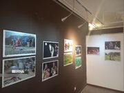 ۲۰ دی، آخرین مهلت ارسال اثر به هشتمین هفته فیلم و عکس ایلام