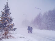 طوفان در اسکاندیناوی جان دو نفر را گرفت / قطع برق هزاران خانه