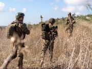 دولت موقت سوریه از بازداشت چند تن از عناصر حکومت اسد خبر داد