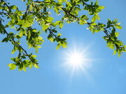 «زنگ آفتاب» در همدان راهکار جدید برای پیشگیری از ام‌اس و پوکی استخوان