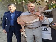 سه عملیات موفق محیط‌زیست مشهد در مقابله با شکار و نگهداری غیرقانونی حیوانات حیات وحش