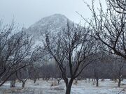 یک سوم مساحت خلخال منطقه حفاظت شده است