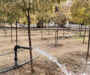 تصفیه خانه محلی راهکار اراک برای حیات فضای سبز