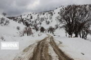 بارش برف محور یاسوج- سادات به دهدشت را بست