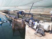 سرمایه‌گذاری ۵۰ هزار میلیارد تومانی در بخش شیلات کشور انجام می‌شود