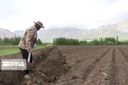 مطالبات کشاورزان چهارمحال و بختیاری؛ کمبود آب و برق تا ظرفیت‌های تولید و سرمایه‌گذاری