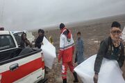 امدادرسانی هلال‌احمر خراسان جنوبی به ۲۳۵ شهروند حادثه دیده در بارندگی
