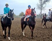 اسب‌های برتر هفته هشتم کورس پاییزه گنبدکاووس معرفی شدند