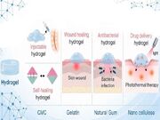 زیست‌پلیمرها چگونه درمان زخم را متحول می‌کنند؟