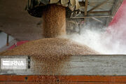 توسعه حمل ریلی گندم برای تضمین امنیت غذایی مازندران