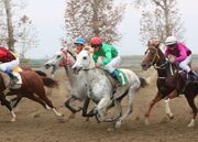 پایان ماراتُن اسب‌ها درهفته دهم کورس گنبدکاووس+فیلم