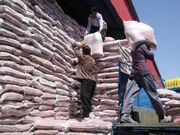 روند رو به رشد مبادلات مرزی سیستان و بلوچستان؛ واردات ۸۲ هزار تُن برنج