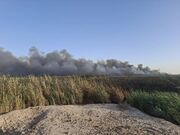 دود سیاه آسمان قم، ناشی از سوزاندان ضایعات در حاشیه نیزار است