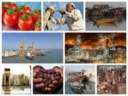 خبرهای کوتاه دوازدهم بهمن ماه ایرنا بوشهر