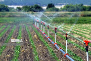 بیش از هفت هزار فرصت شغلی در بخش کشاورزی اردبیل ایجاد می‌شود