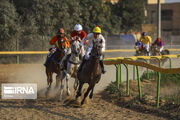 ورزش سوارکاری، ابزاری برای نشاط و شادی جوانان در خوزستان است