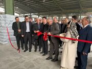 احیای واحدهای راکد؛ راهبرد افزایش سهم سمنان از تولید ناخالص داخلی + فیلم