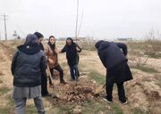 هشدار فرماندار گنبدکاووس به مسوولان: نهال‌کاری نمایشی ممنوع!