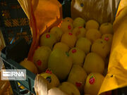 میوه شب عید استان مرکزی تامین شد