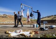 هشدار دامپزشکی اردبیل درباره خرید گوشت از مراکز فاقد نظارت