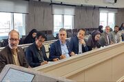 ظرفیت نیروگاه‌های تجدیدپذیر خراسان جنوبی به مرز ۱۲۹ مگاوات رسید