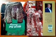 «شهر یئری» روایت تاریخ نگهبانان سنگی مشگین‌شهر