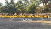 فیلم | طرح ویژه خاموشی آتش‌سوزی جنگل‌های کهگیلویه و بویراحمد
