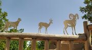 یوزپلنگ‌های دوبعدی در خانه بومگردی‌های ایران