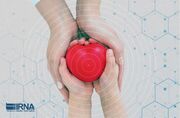 اهدای عضو،‌ از وصیت زندگی تا نجات جان بیماران