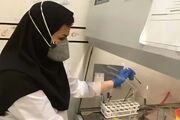 ارائه نزدیک ۲۰ هزار خدمت توسط مرکز بهداشت کیش در ایام جنگ