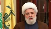 شیخ نعیم قاسم: ایستادگی لبنان ثمره همکاری ارتش، ملت و مقاومت بود