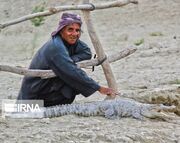 خیز فرمانداری راسک برای حفاظت از میراث طبیعی؛ صیانت از "گاندو" اولویت اصلی زیست‌محیطی