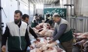 آغاز پویش‌های نذر قربانی در چهارمحال و بختیاری برای کمک به نیازمندان