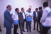 ذبح ۲۰۰ هزار راس دام سبک و سنگین در کشتارگاه های کشور