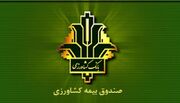 افزایش ۱۴۰ درصدی غرامت پرداختی به کشاورزان خسارت دیده 