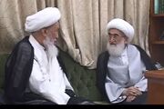 آیت الله نوری همدانی رحلت آیت الله فیاض را تسلیت گفت