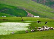 محیط زیست؛ سرمایه خاموش گردشگری و مسئولیت مشترک بشریت