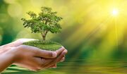 تخریب طبیعت و محیط زیست باید خط قرمز همه دستگاه‌ها در اصفهان باشد