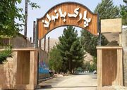 فیلم| آیا زیرساخت‌های شهر یزد با نیاز بانوان هم‌سو است؟ فرماندار پاسخ داد