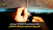 فیلم|فرش تبریز؛ از گره‌های سنتی تا نگاه دانشگاهی