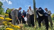 کاشت نهال مقاومت در محیط زیست جنگ زده البرز
