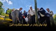 فیلم | تولد نهال پایداری در طبیعت جنگ‌زده البرز