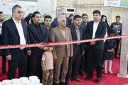 نمایشگاه گل و گیاهان زینتی در چهارمحال و بختیاری گشایش یافت