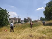 خیز شهرداری سنندج برای حفاظت از پارک‌های جنگلی در برابر آتش‌سوزی