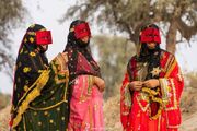 عکاس هرمزگانی برای سومین بار مدال طلای جهانی اکسپوژر ۲۰۲۶ را کسب کرد