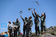 آزاد سازی پرندگان شکاری در همدان