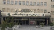 ۵ گام سازمان مالیاتی برای بهبود فضای کسب‌وکار