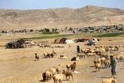 زکات؛ جلوه همدلی عشایر زیرکوه